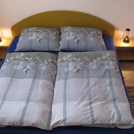 Modern In Carlsbad With Garden *